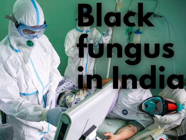 Bệnh mới khiến ngàn người Ấn Độ phải bỏ một mắt có lan ra thế giới?