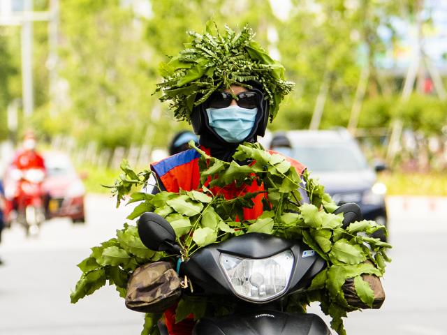 “Ngụy trang” độc đáo chống nắng nóng ở HN: Lấy lá cây quấn quanh người