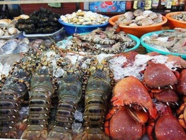 Những món hải sản ”nhà giàu” ở các vùng biển đảo Việt Nam