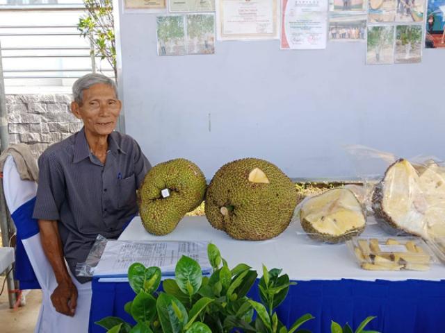 Lão nông Cần Thơ thu tiền tỷ mỗi năm nhờ cây giống “lạ”