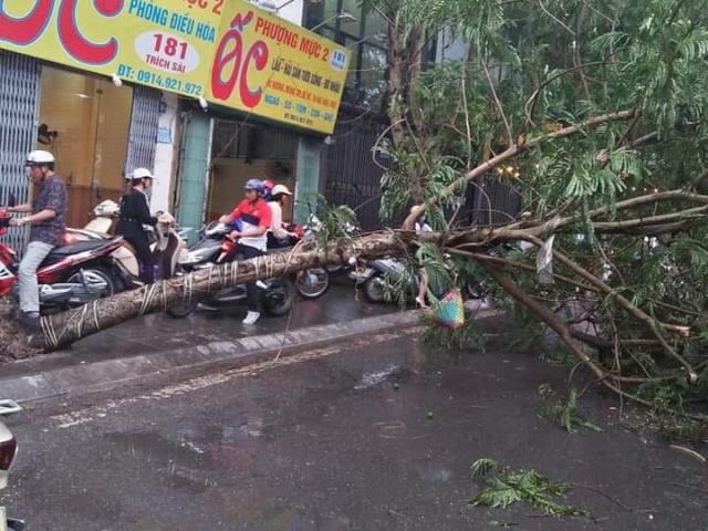 Hà Nội nổi giông lốc, một người đi đường bị cây đè