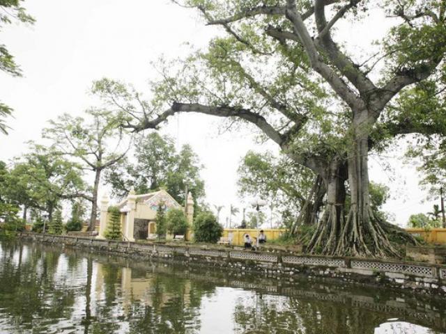 Chuyện chưa kể về ngôi làng địa linh mang hình “cá chép hóa rồng”