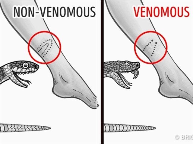 12 mẹo sinh tồn hữu ích giúp cứu sống bạn khi nguy cấp