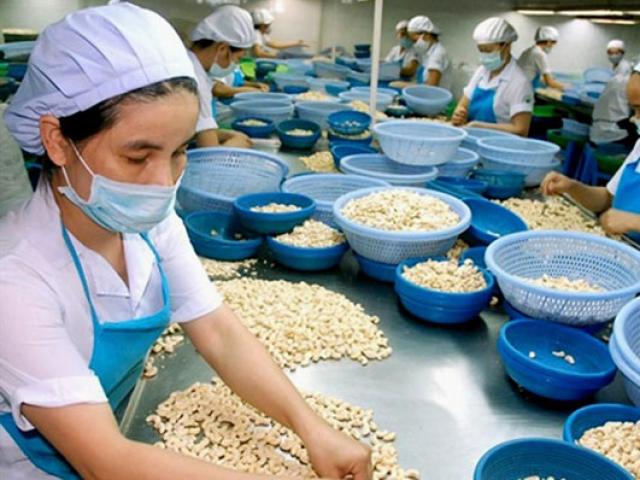 Trung Quốc tăng mua hạt điều vì nhiều dinh dưỡng