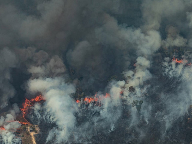 Hai vụ cháy ”nóng” nhất Google tuần qua: Rừng Amazon và nhà máy Rạng Đông