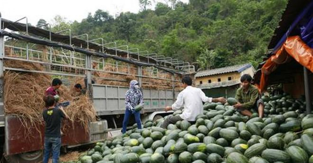 Vì sao xuất khẩu của Việt Nam sang Trung Quốc ngày càng giảm?