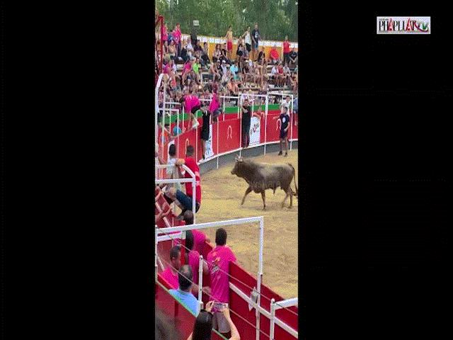 Video: Bò tót điên cuồng tấn công khán giả