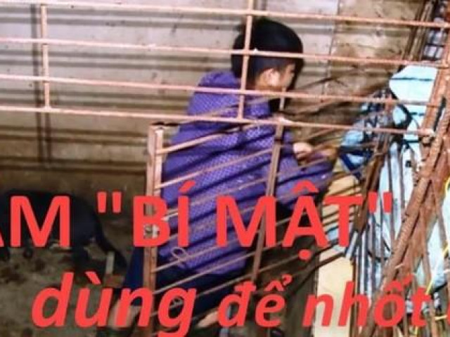 Nhóm ”cẩu tặc” đào cả hầm bí mật để nhốt hơn 100 tấn chó