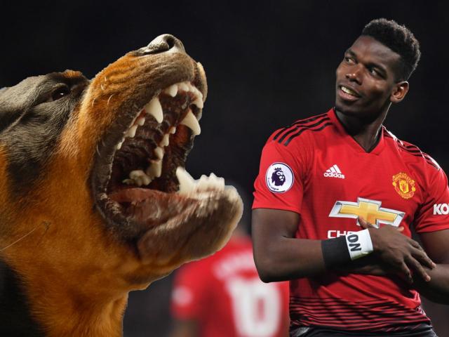 Pogba chơi trội tậu “vệ sỹ” 400 triệu đồng, chạy như Bolt cơ bắp cực đỉnh