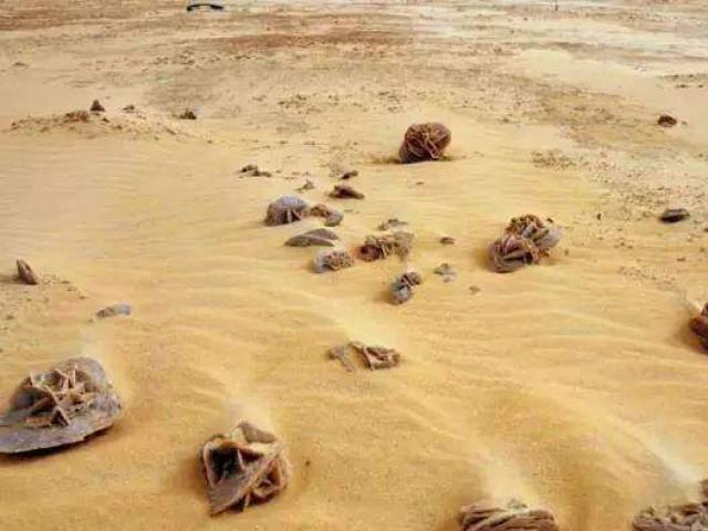 Đến sa mạc nhìn thấy những hòn đá này thì nhớ nhặt, nếu không sau này bạn sẽ rất tiếc