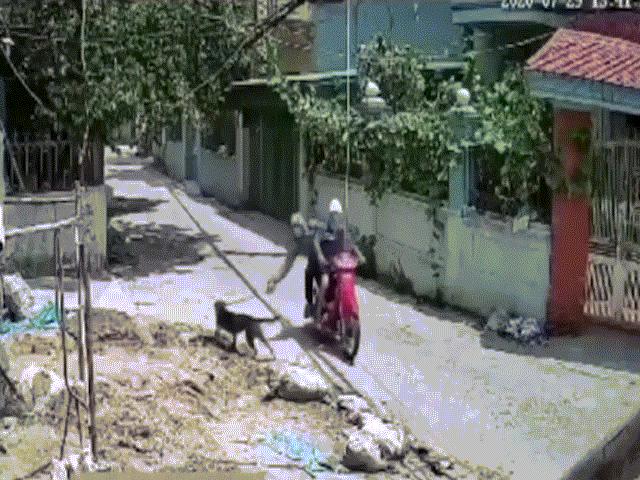 Video: 2 thanh niên táo tợn dùng dây thòng lọng trộm chó giữa ban ngày