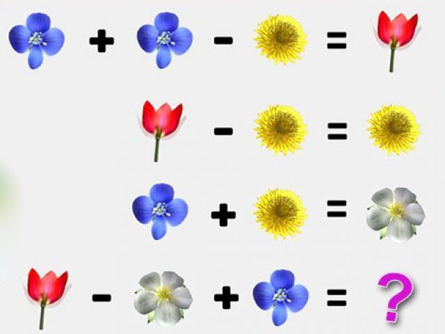 Chỉ vài bông hoa cũng tạo thành câu đố khiến mọi người trăn trở tìm đáp án