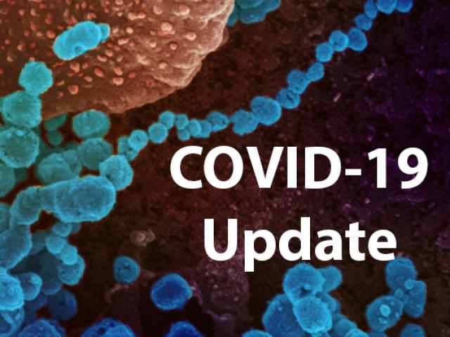 Tình hình dịch COVID-19 ở Việt Nam tính đến trưa 19-8