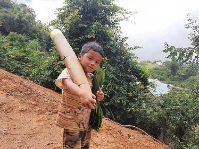 Xúc động hình ảnh cậu bé 8 tuổi vác măng rừng ”siêu to khổng lồ” ủng hộ người dân vùng dịch
