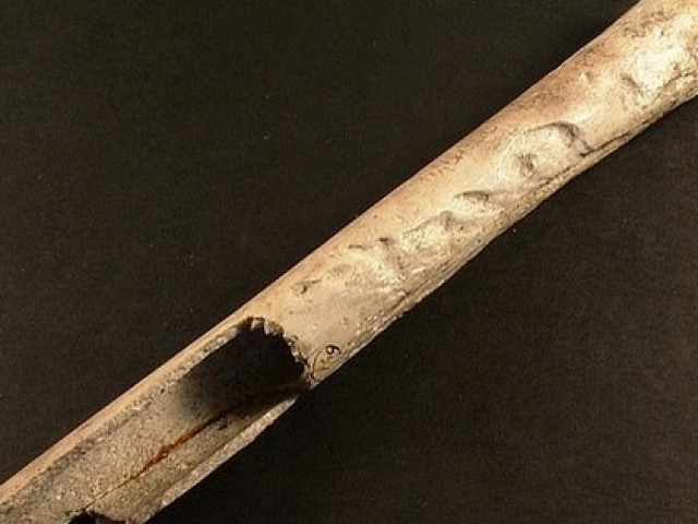 Sốc với ”người đẹp” 4.500 tuổi mang theo xương người khác vào mộ