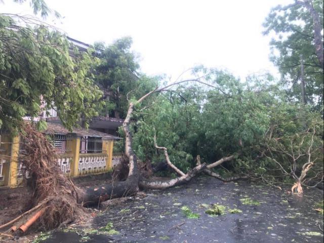 Miền Trung thiệt hại nặng sau bão số 5: Số người bị thương tăng ”chóng mặt”