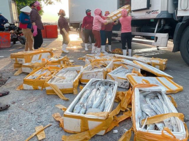 Nóng tuần qua: Loại cá đặc sản bỗng bán giá “bèo”, dân mua về làm thức ăn chăn nuôi