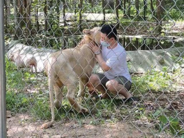 Người đàn ông TQ nuôi sư tử 70kg trong nhà: Thủ tướng Campuchia ra quyết định