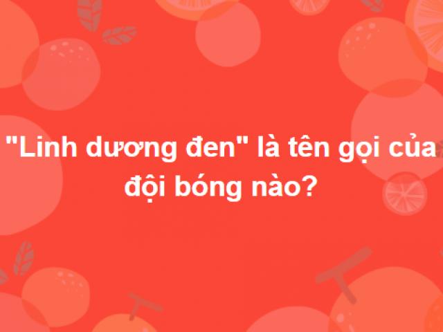 Những người sở hữu kho kiến thức khổng lồ mới trả lời đúng hết bộ câu hỏi này