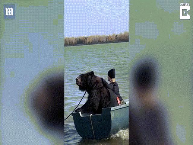 Video: Cô gái ngồi câu cá cùng một con gấu to đùng