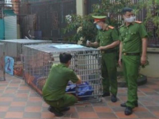 Hộ nuôi hổ trái phép ở Nghệ An là công an bán chuyên trách