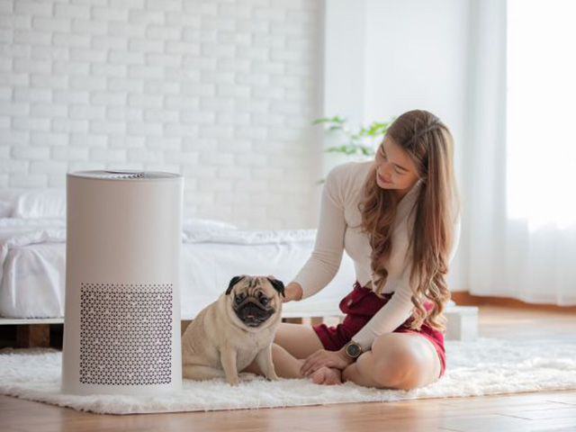 Những lý do cần trang bị máy lọc không khí cho ngôi nhà