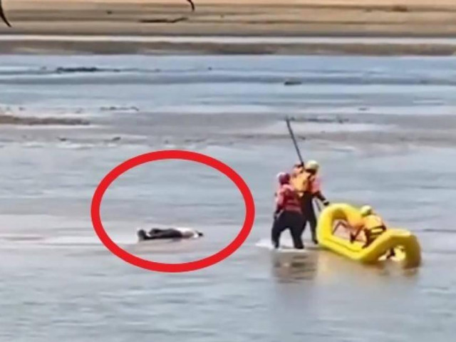 Nhân viên cứu hộ Mỹ tá hỏa khi “xác chết” ở giữa sông bất ngờ đứng dậy