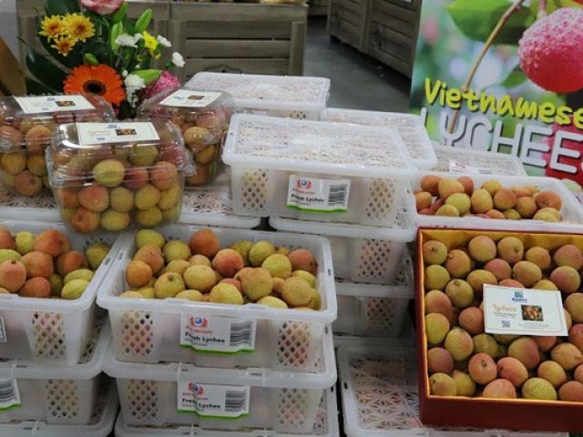 Nông sản Việt Nam xuất khẩu sang Australia tăng trưởng mạnh mẽ