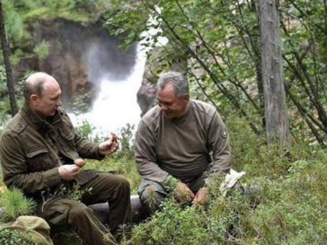 “Nếu muỗi cản trở Putin và Shoigu, đầm lầy trong rừng Taiga sẽ bị rút cạn”