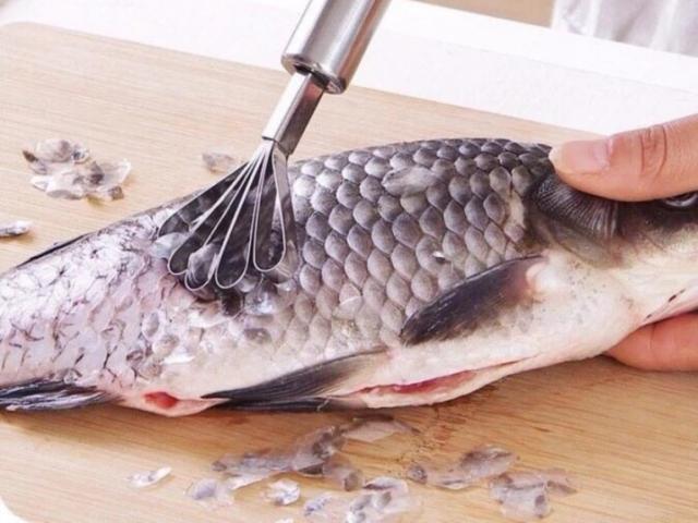 Bộ phận trên con cá luôn bị ”vứt bỏ” lại có dinh dưỡng cao hơn cả phần thịt