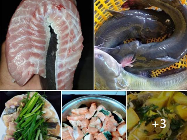 Nóng tuần qua: Loại cá đặc sản giá cao ngất bỗng bán rẻ chưa từng có, chỉ còn vài chục nghìn/kg