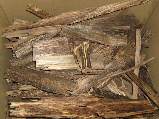 Loại gỗ sánh ngang kim cương, một gam có giá vài trăm triệu, ở Việt Nam cũng có