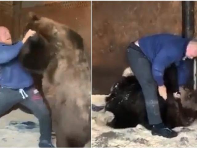 Võ sỹ gây sửng sốt MMA, chui vào lồng sắt quật ngã chú gấu 250kg