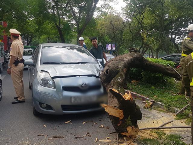 Hà Nội: Cây gãy đè trúng ô tô đang chạy, người dân chạy dạt vào vỉa hè