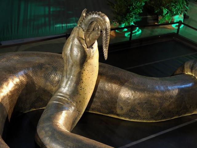 Sự thật về Titanoboa - Quái vật rắn khổng lồ nhất lịch sử Trái đất