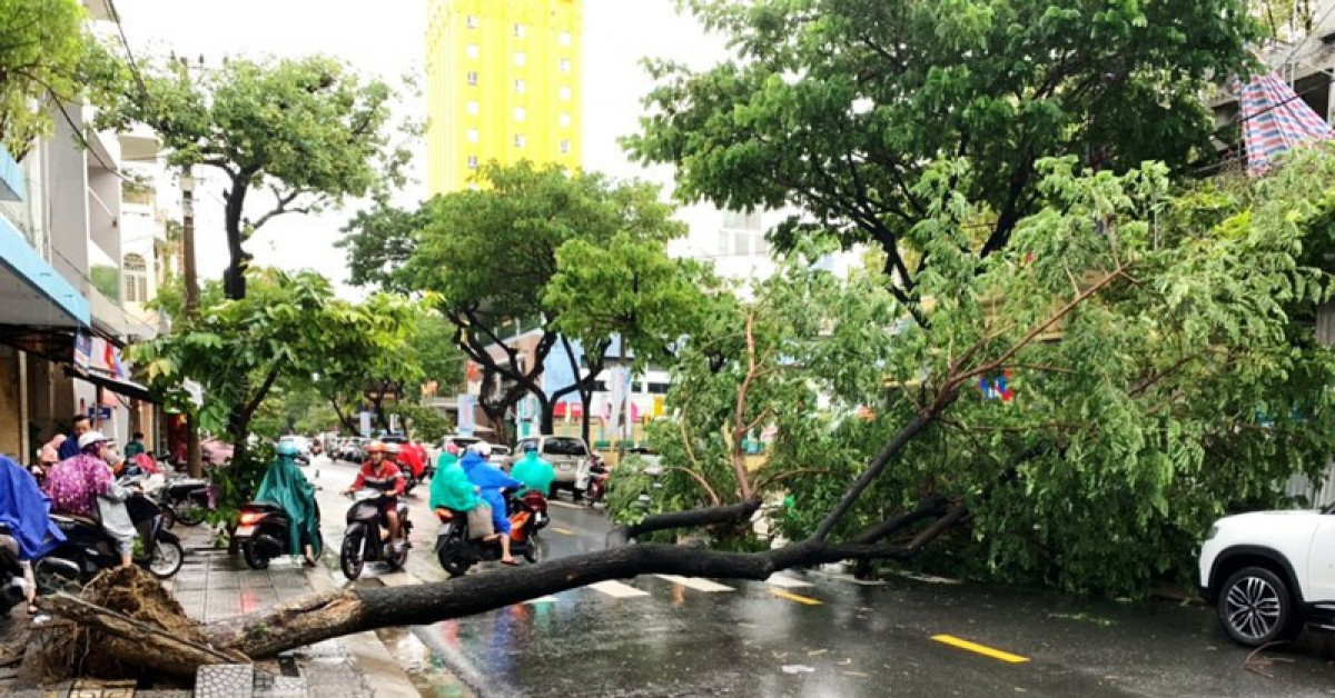 ”Văn bản khẩn” cho HS Đà Nẵng nghỉ học do mưa bão là giả