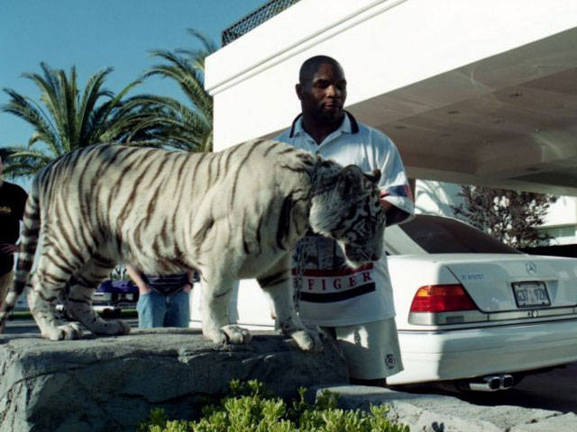 Mike Tyson nuôi hổ dữ 250kg: Choáng váng chi phí 53 tỷ đồng cho ”thú cưng”