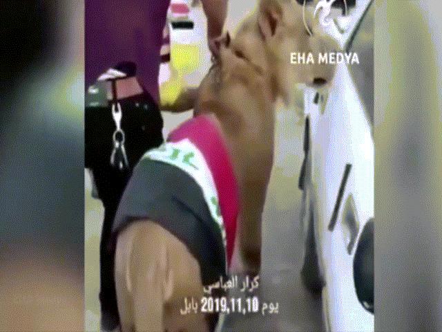 Video: Cảnh sát dùng chó nghiệp vụ, người biểu tình Iraq đem sư tử đối phó