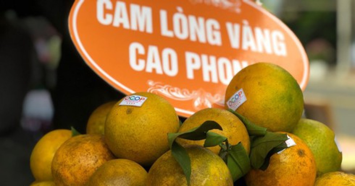 Cam ngoại ”tấn công”, cam Cao Phong giảm giá chính vụ