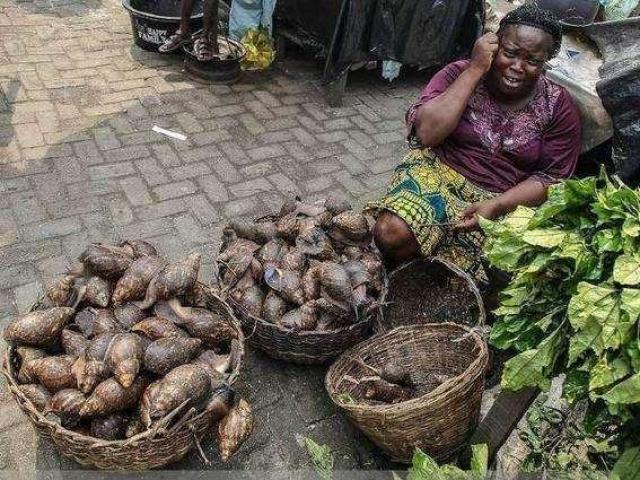 Hốt hoảng trước những thực phẩm nhìn thôi đã thấy sợ ở chợ châu Phi