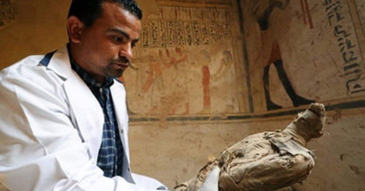 Hé lộ bí ẩn hàng triệu xác ướp chim trong lăng mộ Ai Cập