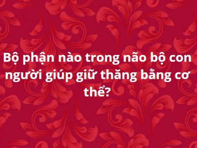 Trả lời đúng 15 câu hỏi này bạn xứng đáng là “từ điển sống”