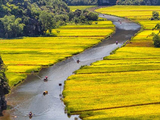 10 trải nghiệm khiến du khách nước ngoài thích thú nhất khi tới Việt Nam