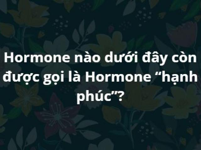 Chỉ người sở hữu “siêu trí tuệ” mới trả lời đúng hết những câu hỏi này