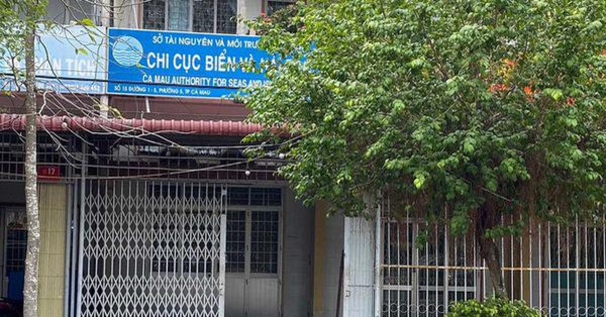 Buộc thôi việc nữ phó phòng đi du học nước ngoài không về