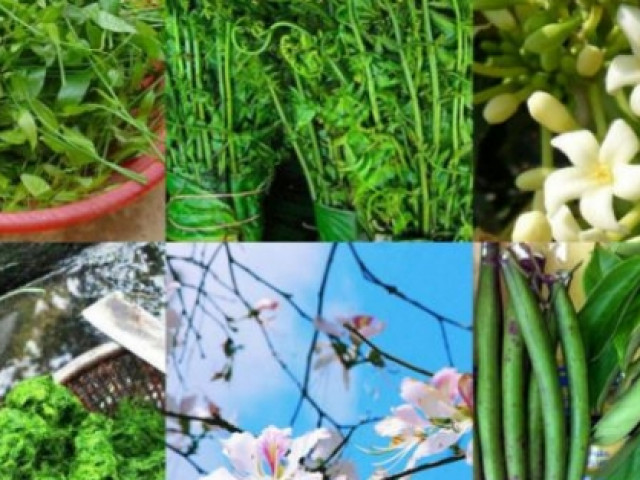 7 ”đặc sản” rau rừng ăn là ”nghiện” của đồng bào Tây Bắc