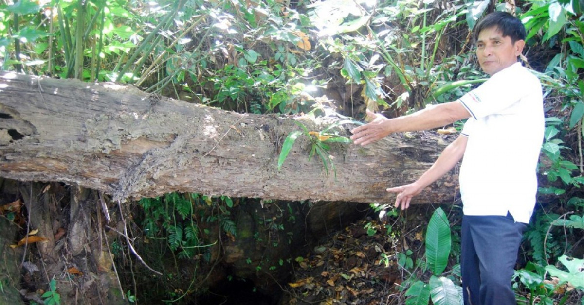 Nguyễn Hồng Công và 3 lần 'chạm cửa kho báu' vua Hàm Nghi