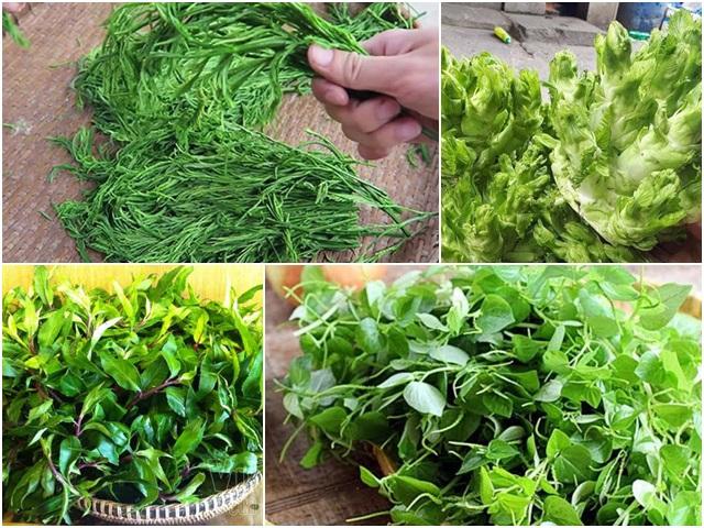 Việt Nam có 10 loại rau rừng mọc dại giá ”đắt cắt cổ”, có tiền chưa chắc đã mua được