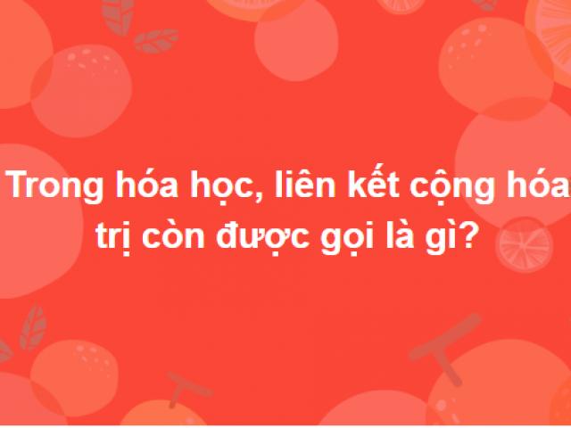 Bộ câu hỏi siêu khó chỉ 1% trả lời đúng tất cả