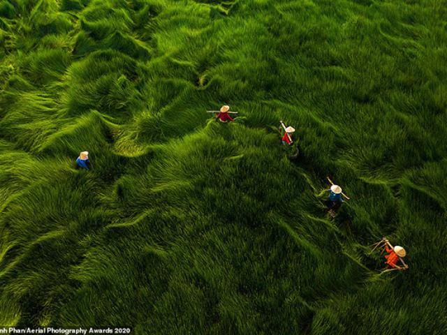 Việt Nam lọt danh sách Những bức ảnh ấn tượng nhất thế giới chụp từ trên không